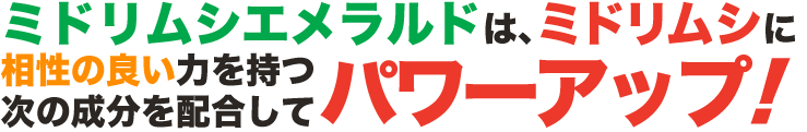 ミドリムシエメラルドは、ミドリムシに相性のよい力を持つ次の成分を配合してパワーアップ!